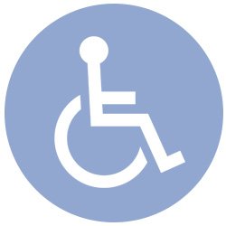 veicoli-disabili